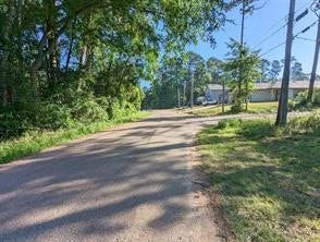 15504 Big Bow Bend, Willis, TX 77378