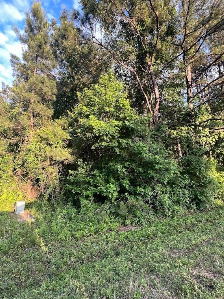108 Peach Creek Drive, New Caney, TX 77357 108 Peach Creek Drive, New Caney, TX 77357