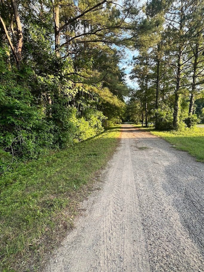 108 Peach Creek Drive, New Caney, TX 77357 108 Peach Creek Drive, New Caney, TX 77357
