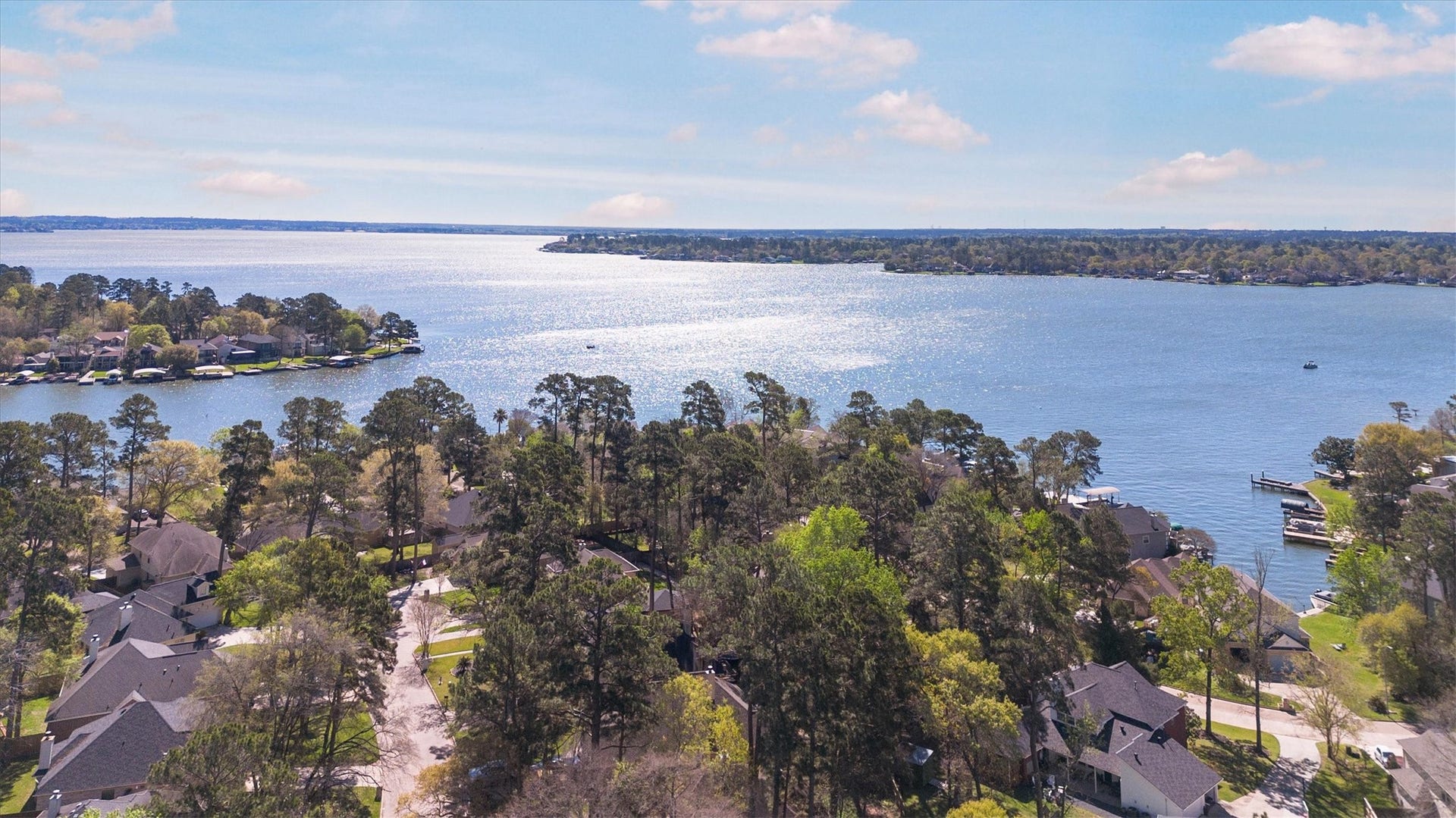 11843 Briarwood Lane, Montgomery, TX 77356 11843 Briarwood Lane, Montgomery, TX 77356