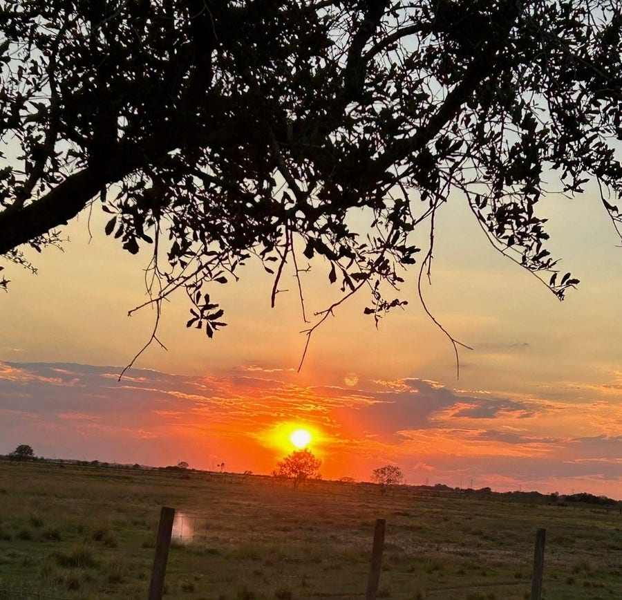 Property photo for 17126 Brumbelow Road, Needville, TX