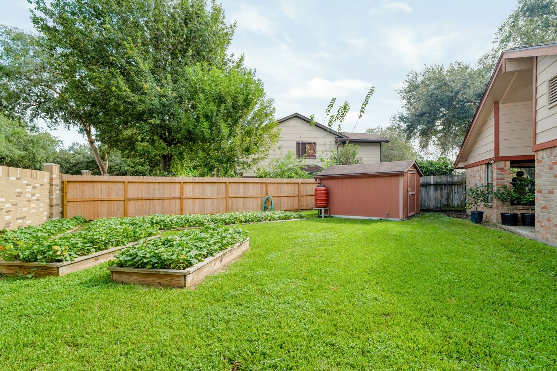 1802 Brushy Creek Drive, Sugar Land, TX 77478 Green-thumb enthusiasts will love the raised garden beds, featuring sweet potatoes ready to harvest and included with the sale!