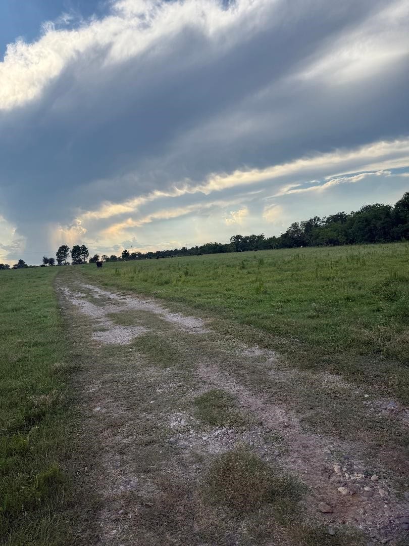 Property photo for 25704 Fm 1736, Waller, TX