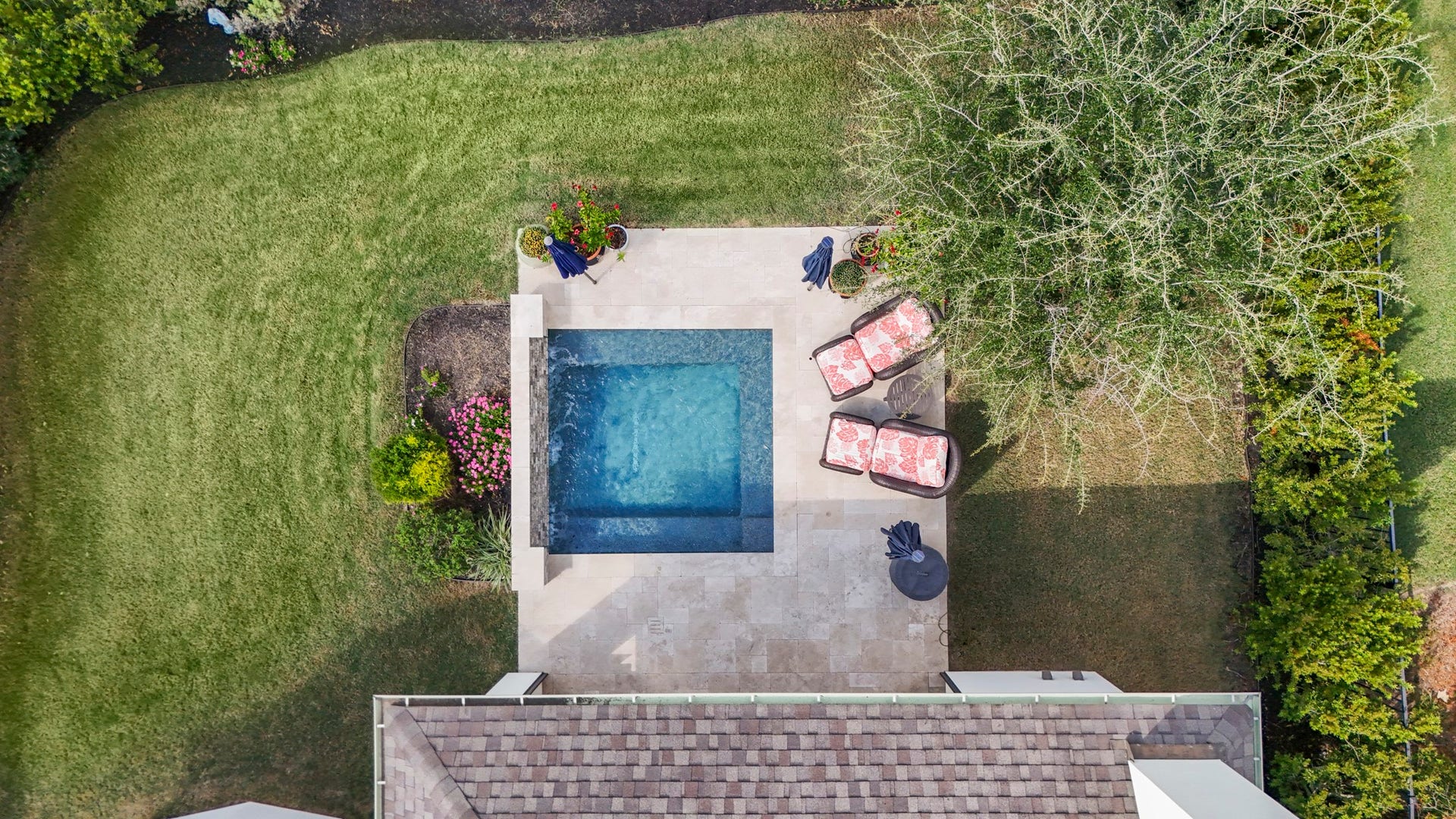 Looking straight down into the back yard...