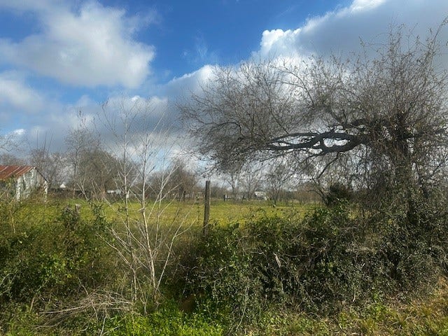 Property photo for 27722 Betka, Hockley, TX