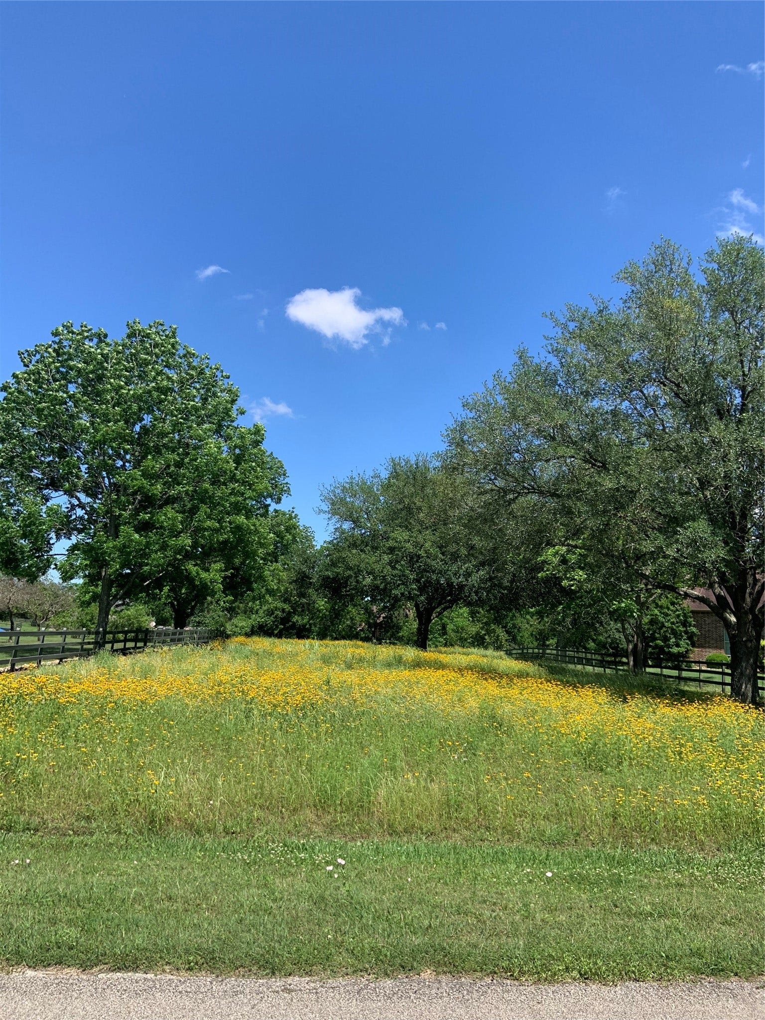 31318 Lower Oxbow Trace, Fulshear, TX 77441 31318 Lower Oxbow Trace, Fulshear, TX 77441