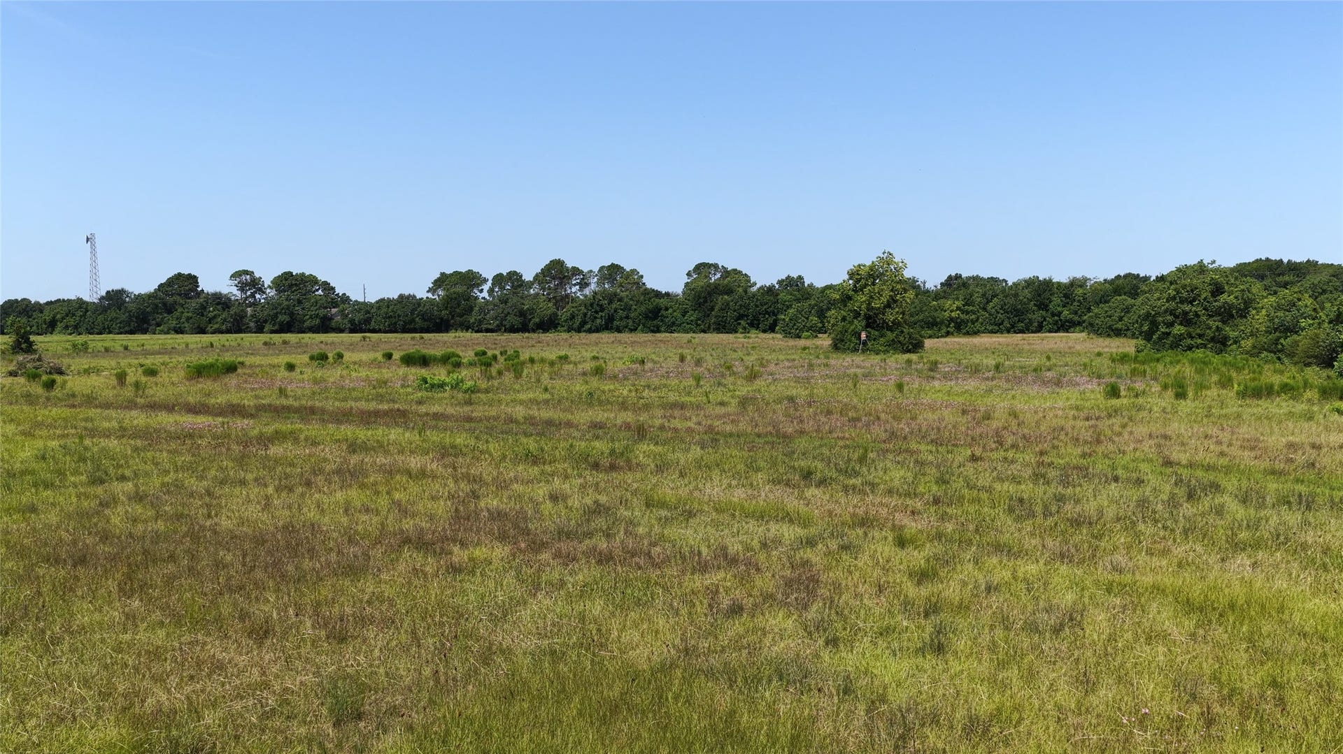 15925 Merle Road, Cypress, TX 77433 15925 Merle Road, Cypress, TX 77433
