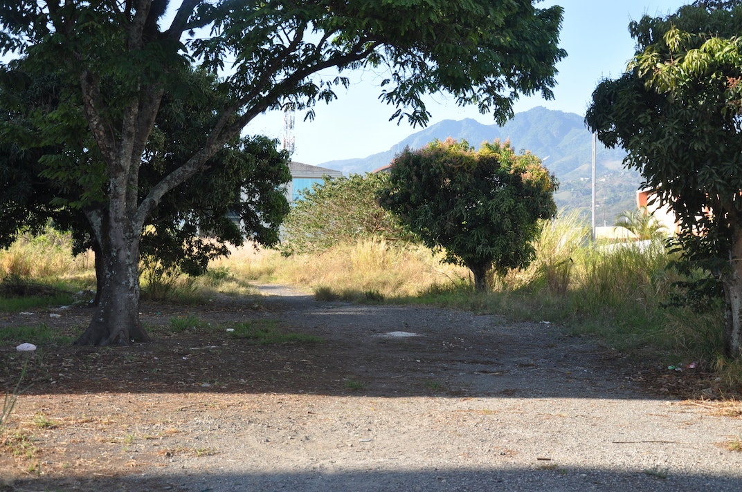 High Density Development Parcel — photo 5 of 19