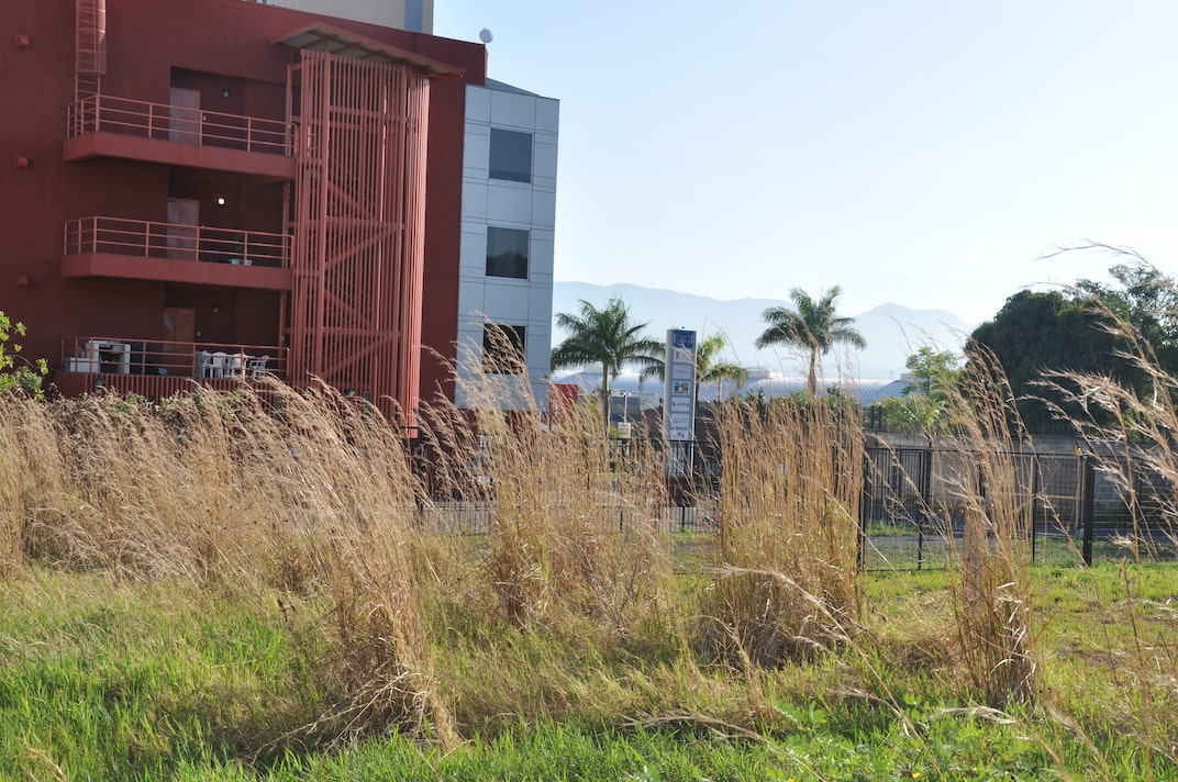 High Density Development Parcel — photo 10 of 19