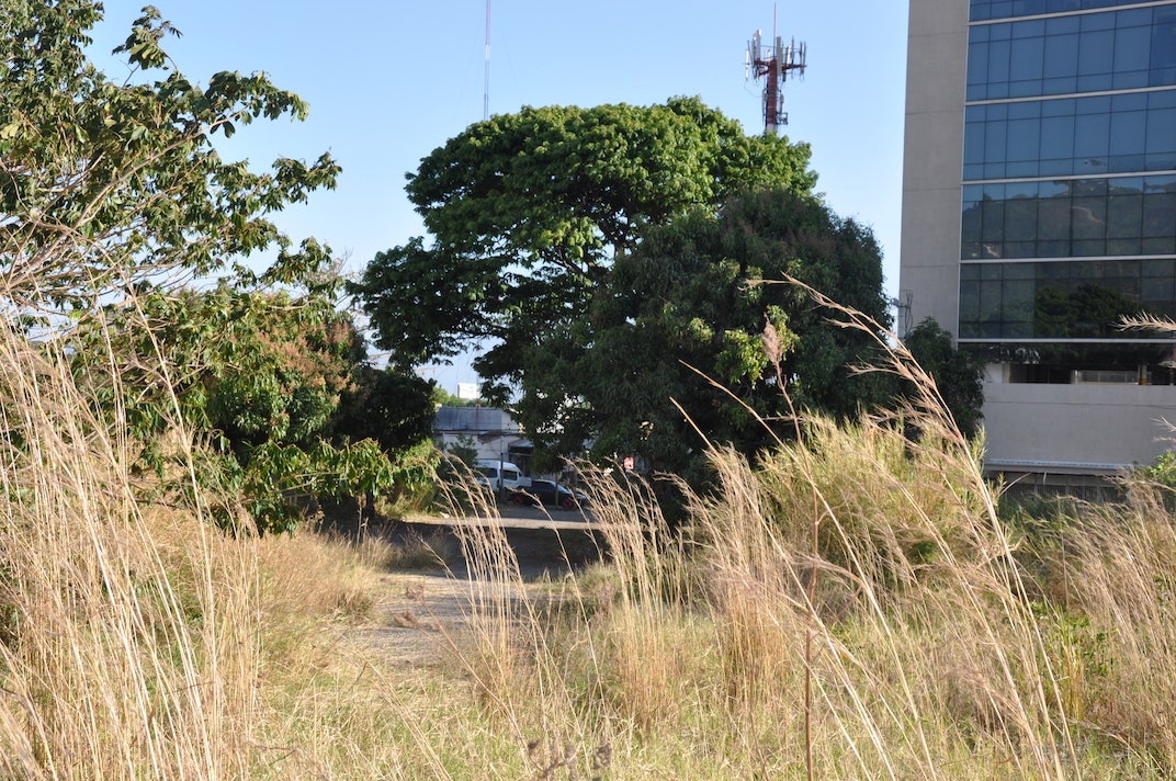 High Density Development Parcel — photo 12 of 19