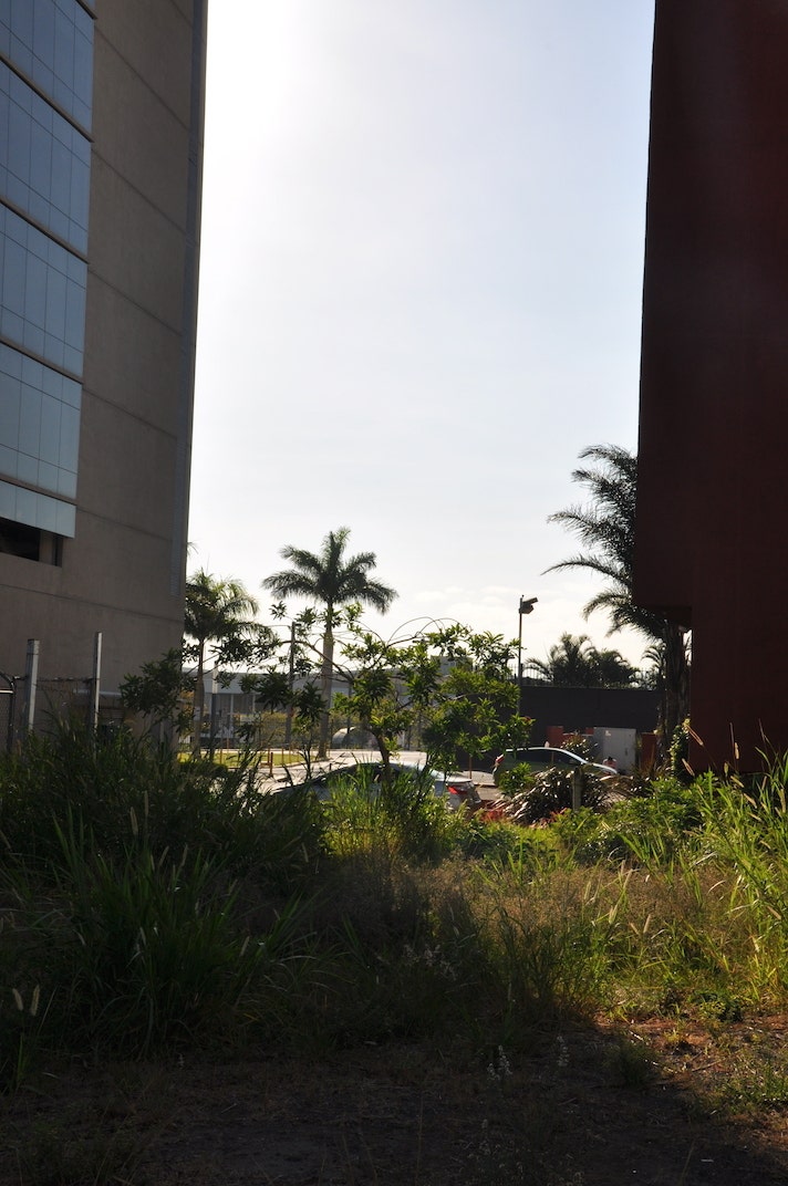 High Density Development Parcel — photo 13 of 19