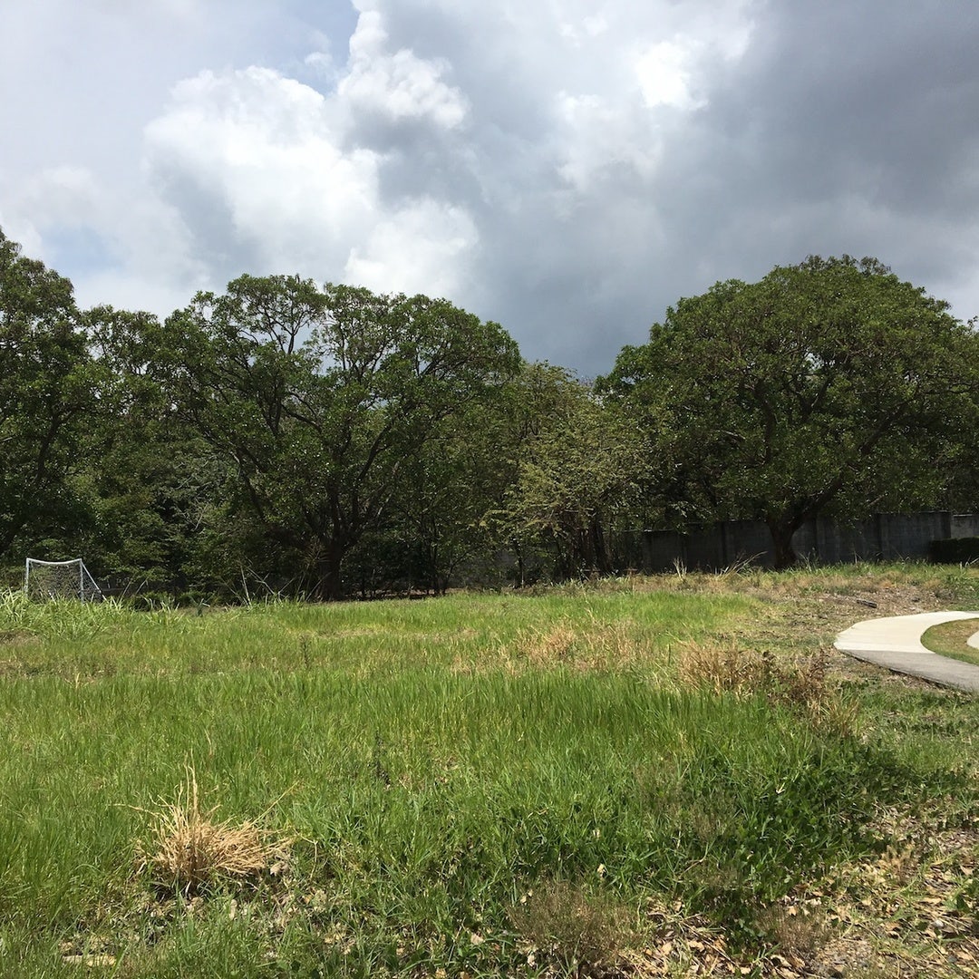 La Hacienda Premiere Lot — photo 2 of 4
