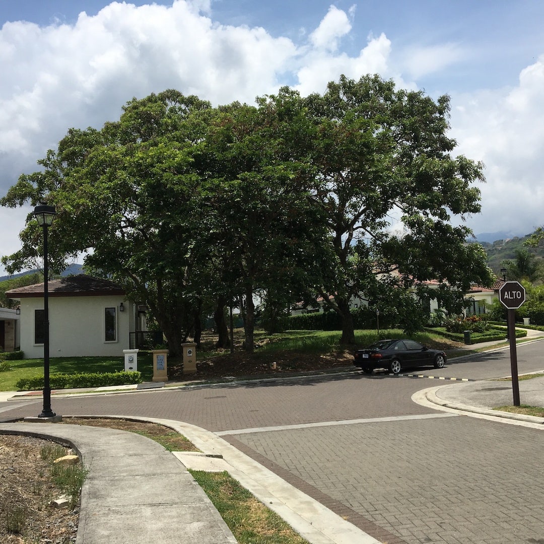 La Hacienda Premiere Lot — photo 3 of 4