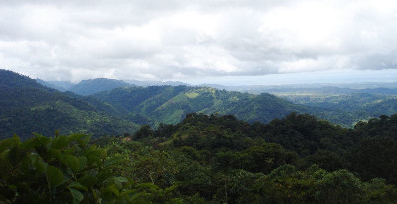 Finca Mauricio Farm, Manuel Antonio, Santa Maria, Dota, Puntarenas, Costa Rica