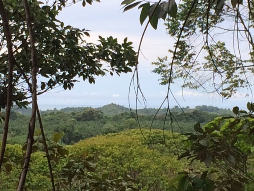 Development Site Minutes from Quepos — photo 2 of 11