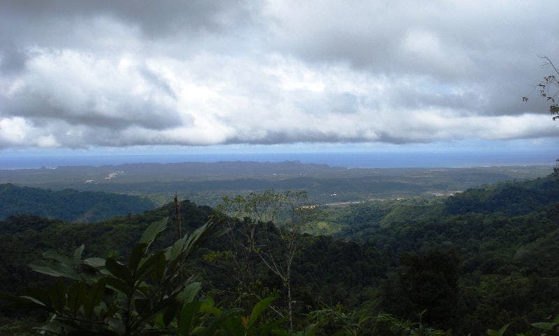 Finca Mauricio Farm, Manuel Antonio, Santa Maria, Dota, Puntarenas, Costa Rica — photo 2 of 5