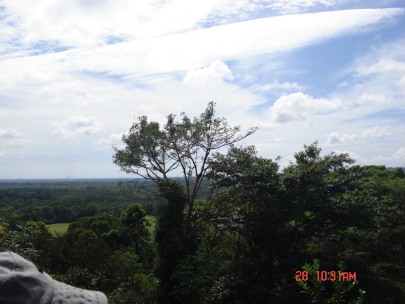 Development Site Minutes from Quepos — photo 4 of 11