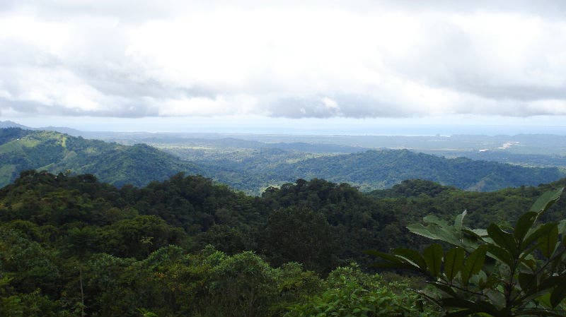 Finca Mauricio Farm, Manuel Antonio, Santa Maria, Dota, Puntarenas, Costa Rica — photo 3 of 5