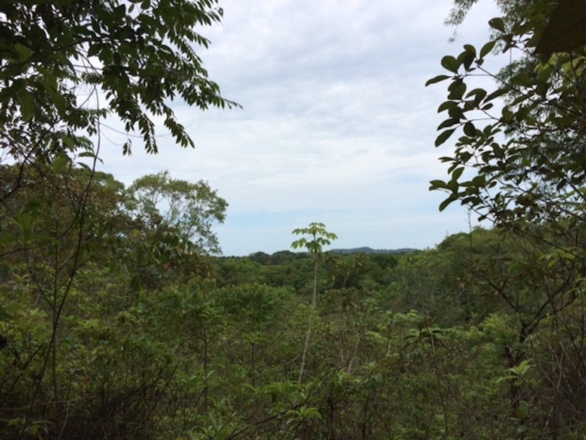 Development Site Minutes from Quepos — photo 5 of 11