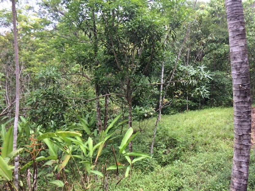 Development Site Minutes from Quepos — photo 6 of 11