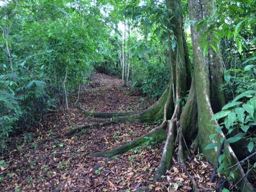 Development Site Minutes from Quepos — photo 7 of 11