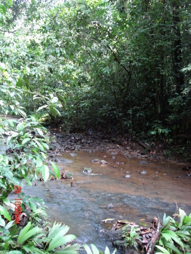 Development Site Minutes from Quepos — photo 8 of 11