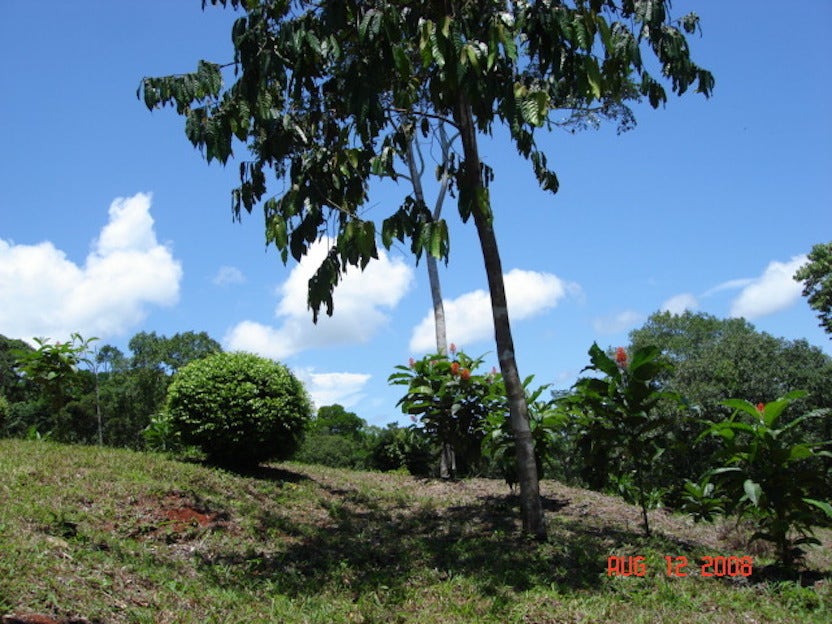 Development Site Minutes from Quepos — photo 9 of 11