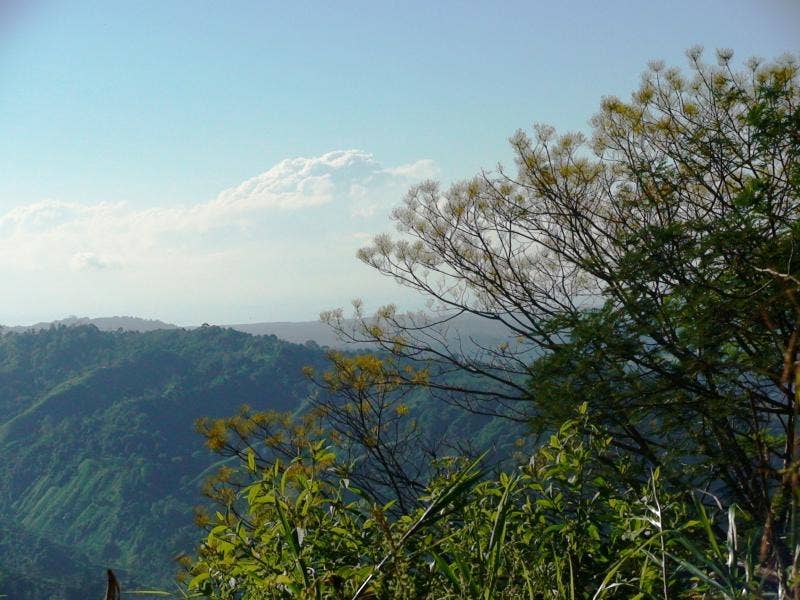 Finca Mauricio Farm — photo 8 of 11