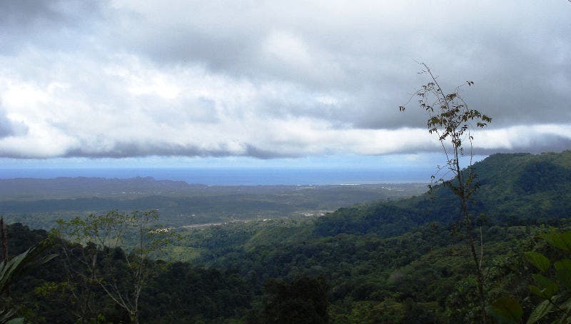 Finca Mauricio Farm — photo 9 of 11