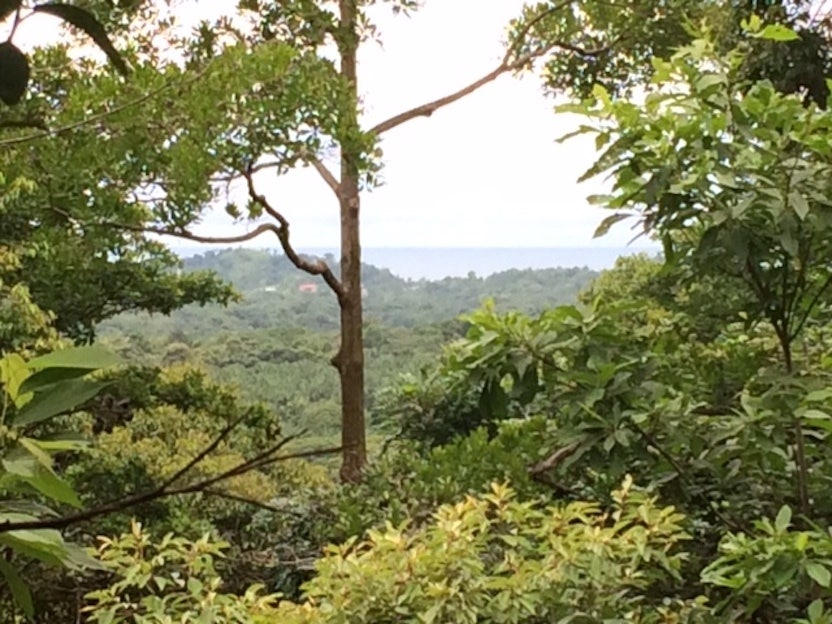 Development Site Minutes from Quepos — photo 11 of 11