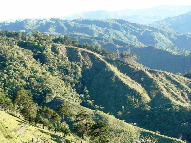 Finca Mauricio Farm — photo 10 of 11