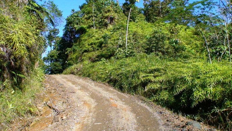 Finca Mauricio Farm — photo 11 of 11