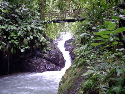 Rainmaker Farm, Manuel Antonio, Parrita, Parrita, Puntarenas, Costa Rica