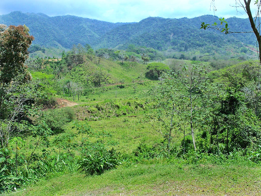 Herradura Mountain View Farm, Herradura, Jaco, Jaco, Garabito, Puntarenas, Costa Rica