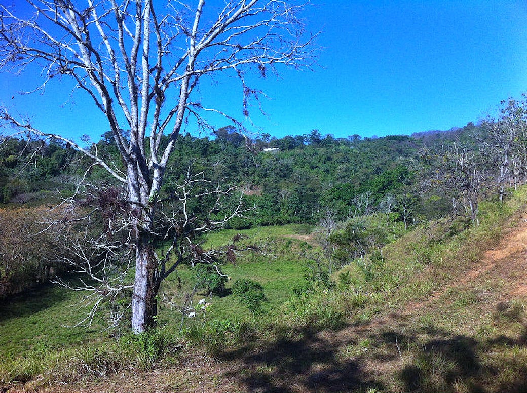 Herradura Mountain View Farm — photo 2 of 6