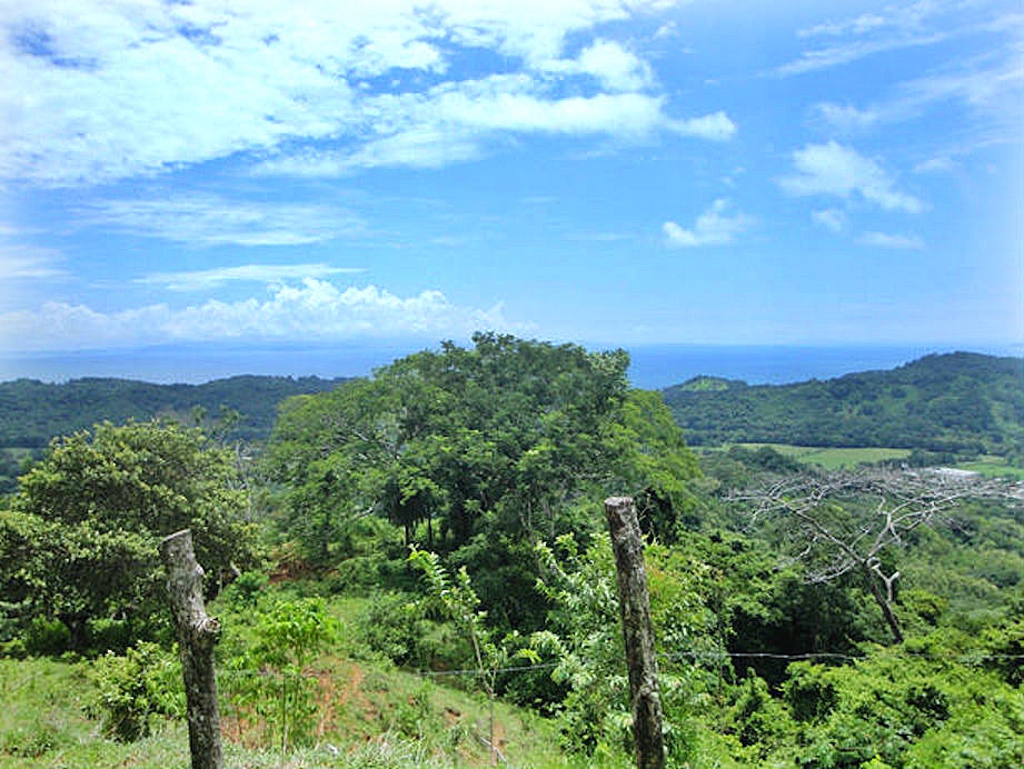Finca Valencia Development Property — photo 8 of 18