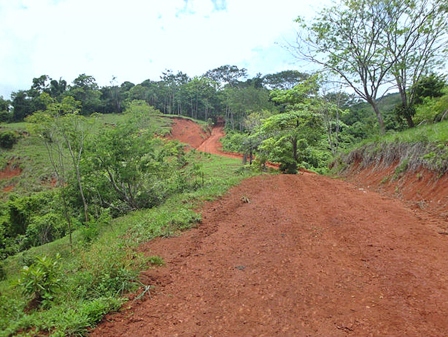 Finca Valencia Development Property — photo 13 of 18