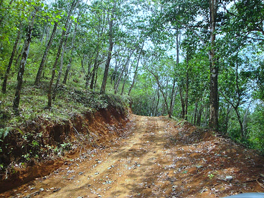 Finca Valencia Development Property — photo 18 of 18