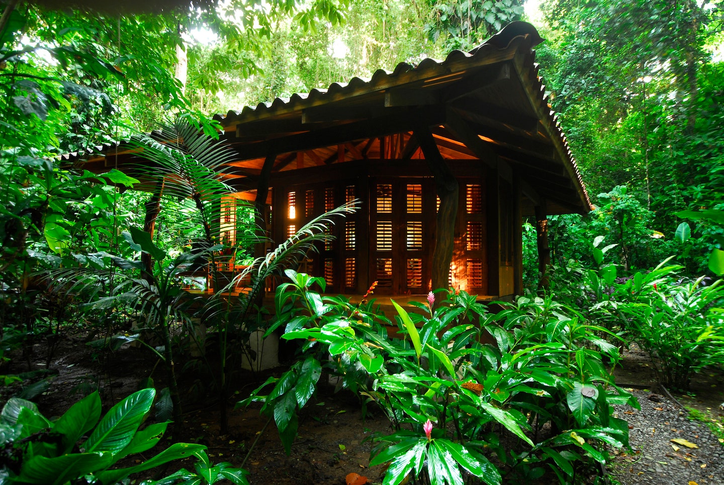 Osa Waterfront Lodge — photo 12 of 16