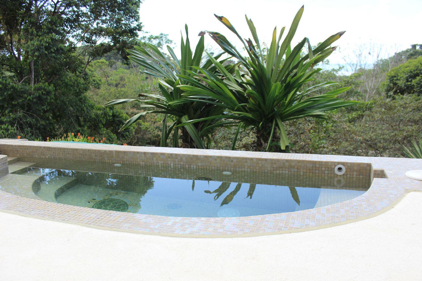 Ocean View Commercial Dream — photo 10 of 19