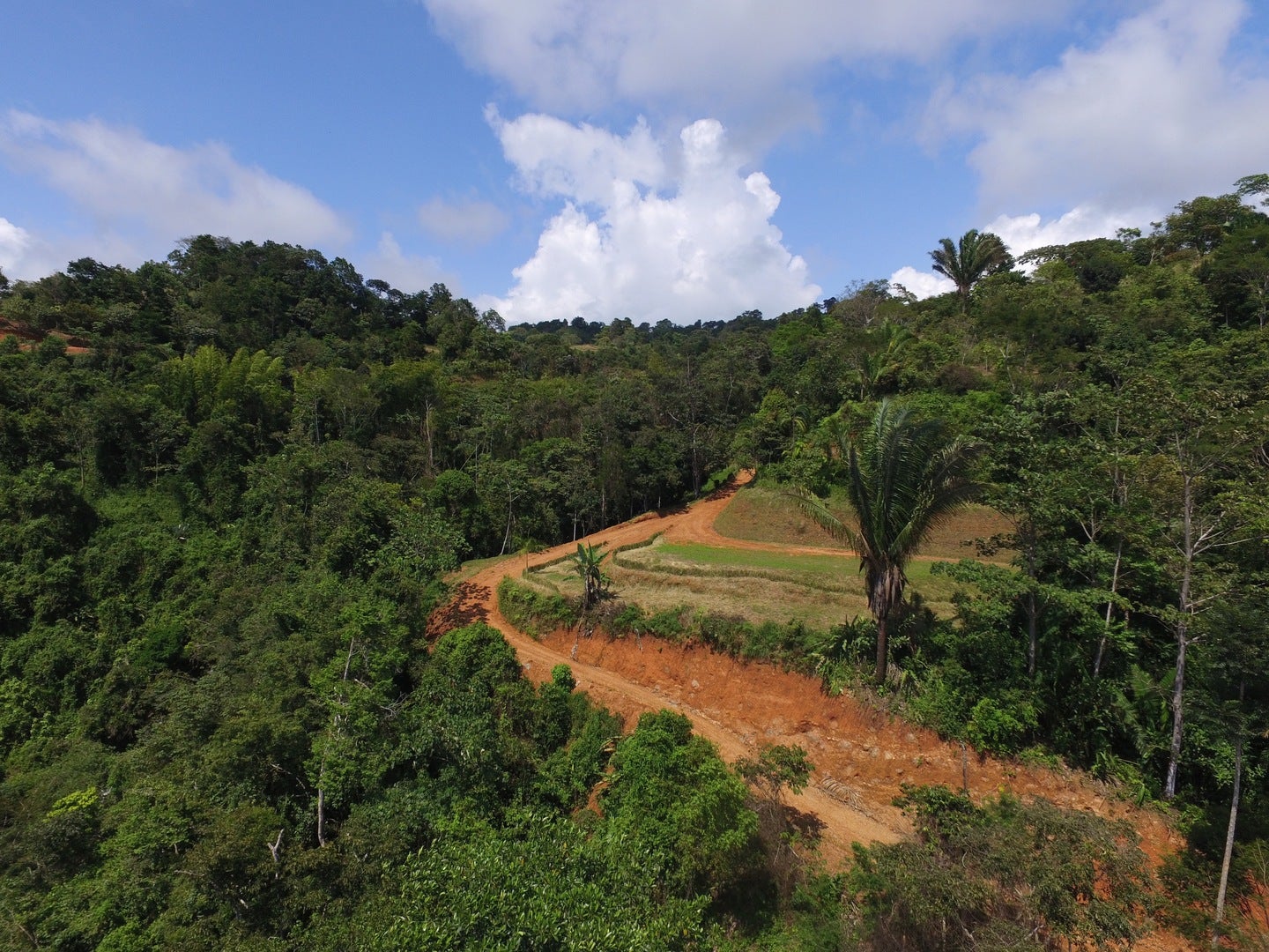 Ocean View Farm with Waterfalls in Platanillo — photo 2 of 8