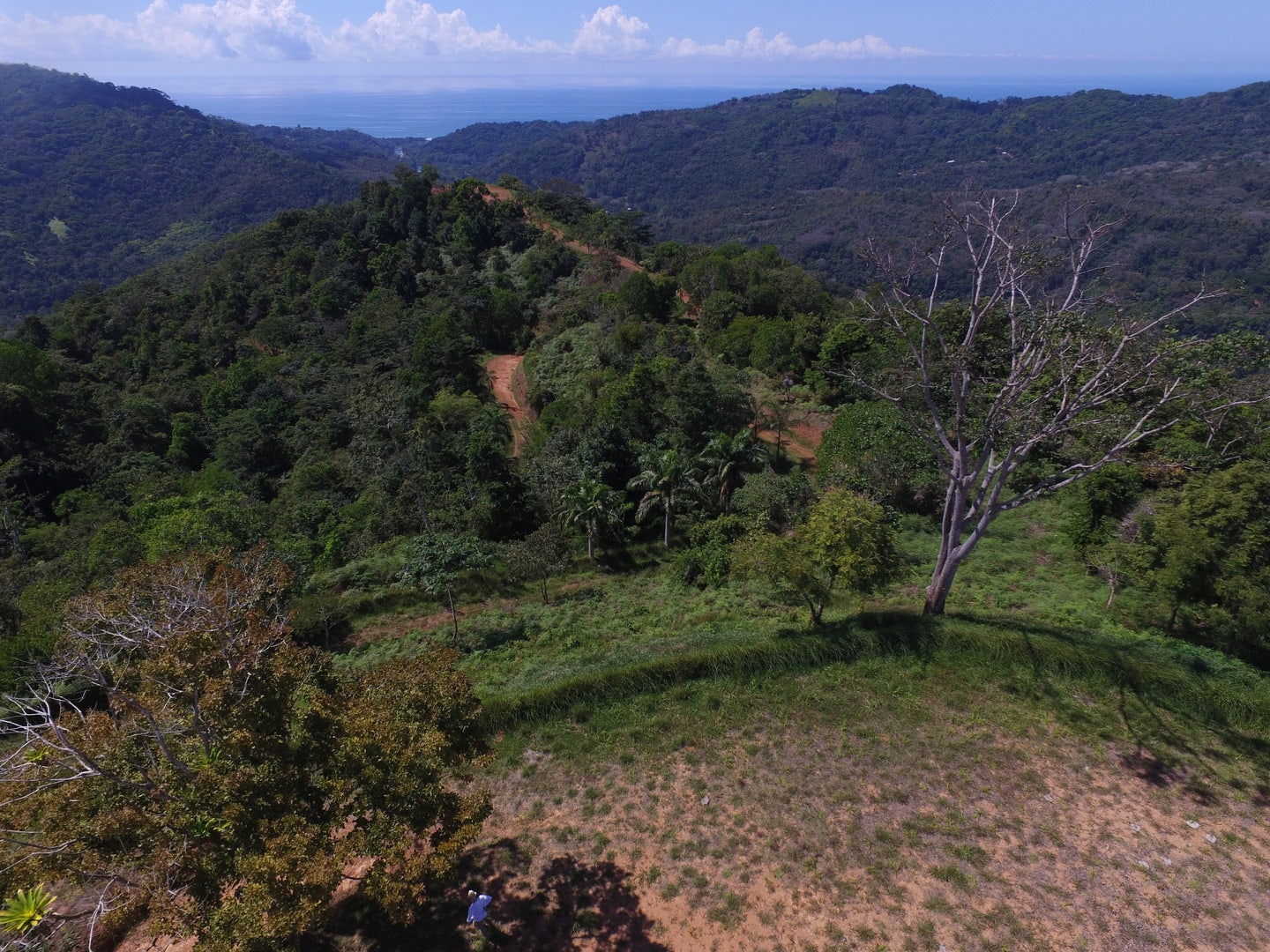 Ocean View Farm in Platanillo — photo 3 of 7