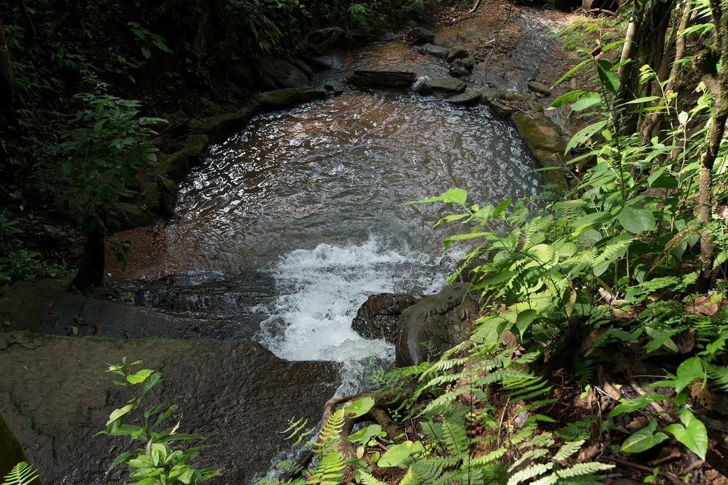 Ocean View Farm with Waterfalls in Platanillo — photo 5 of 8