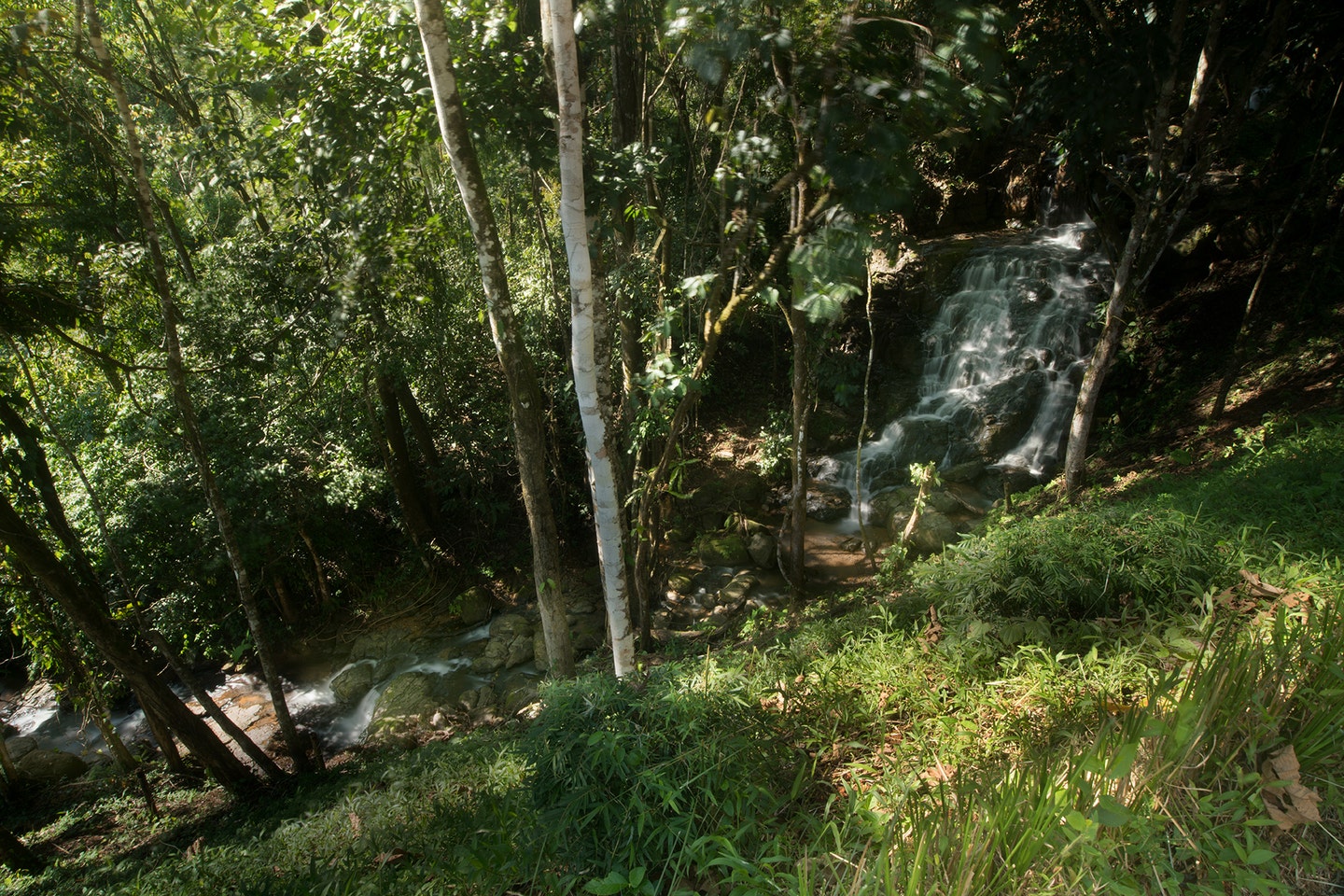 Ocean View Farm with Waterfalls in Platanillo — photo 7 of 8