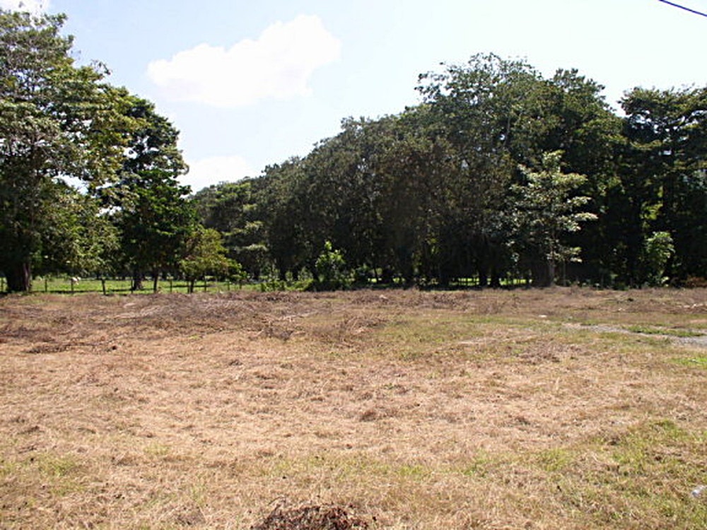 Residential Development Site — photo 4 of 7