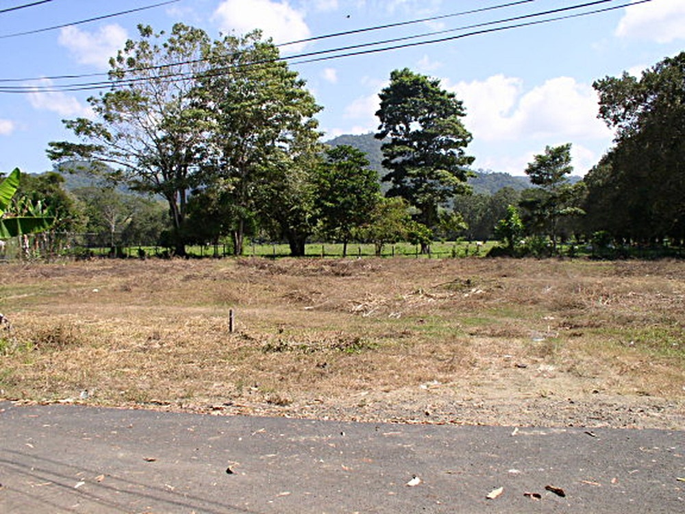 Residential Development Site — photo 5 of 7