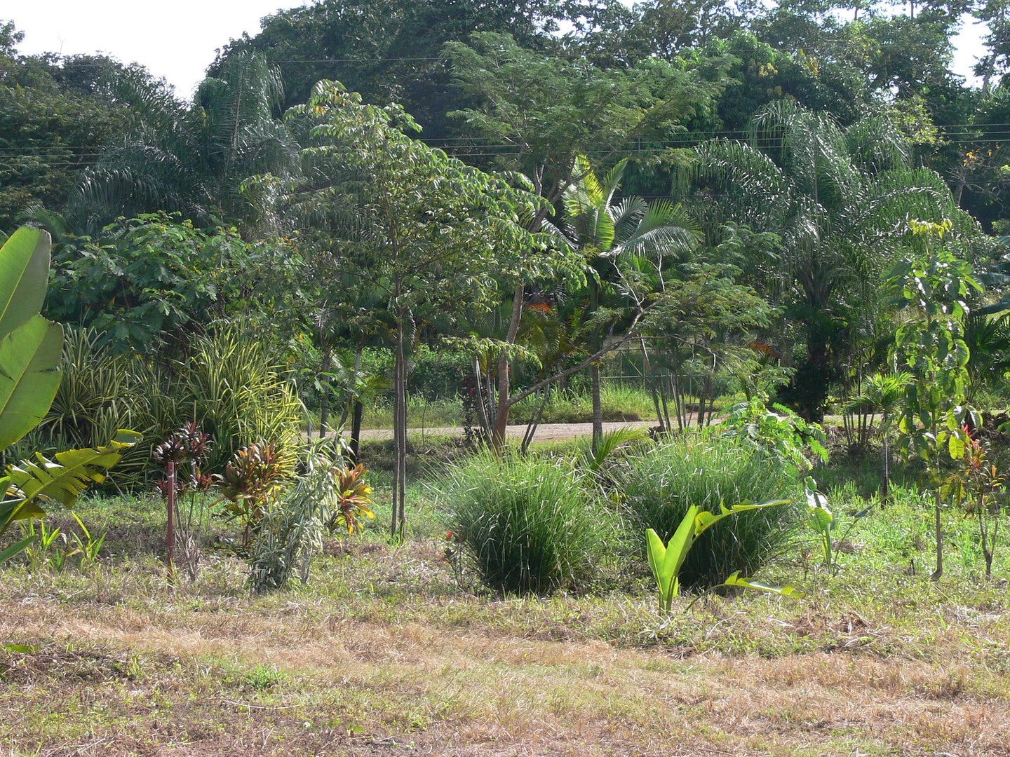 San Isidro Valley Lot, San Isidro, San Isidro, Santa Teresa, Cobano, Puntarenas, Puntarenas, Costa Rica 60111