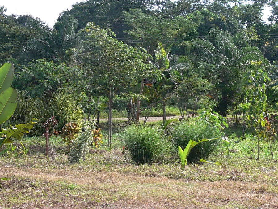 Property photo for San Isidro Valley Lot, San Isidro, Santa Teresa, Cobano, Puntarenas, Puntarenas, Costa Rica
