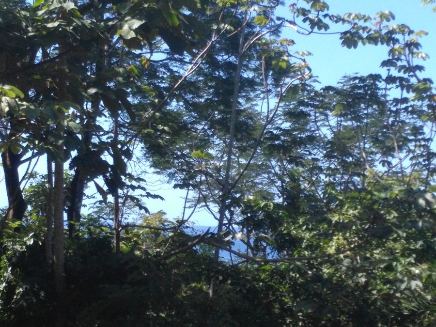 Property photo for Hermosa Hill Lot for Sale, Playa Hermosa, Santa Teresa, Puntarenas, Cobano, Puntarenas, Costa Rica