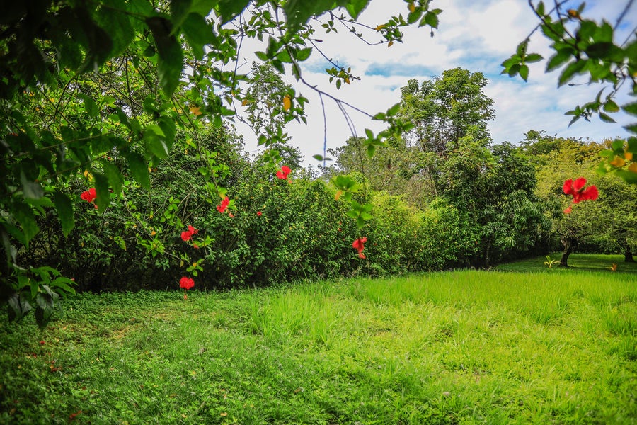 Property photo for Mal Pais Surf Lot  , Mal Pais, Santa Teresa, Cobano, Puntarenas, Puntarenas, Costa Rica